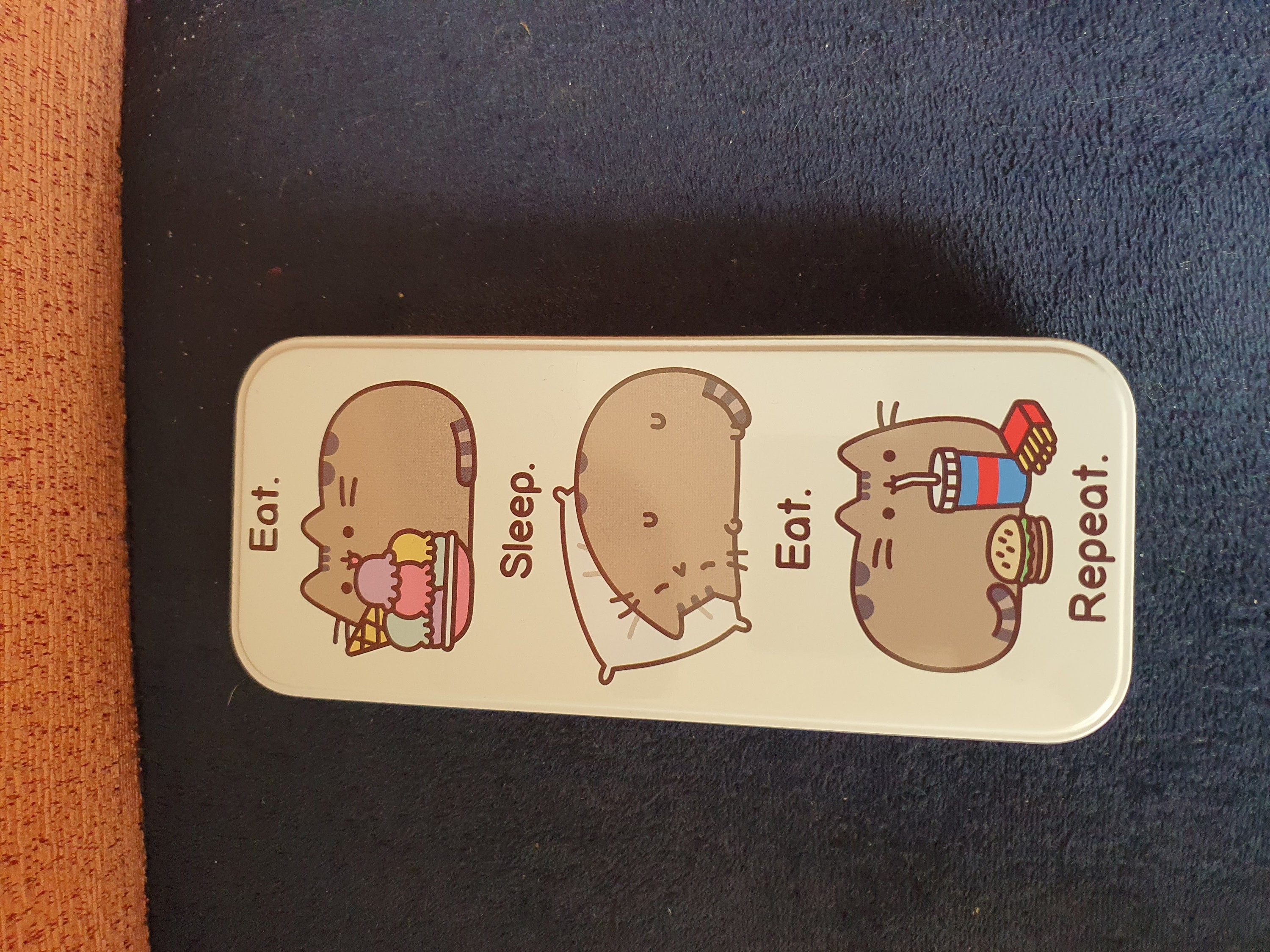 Pusheen pencil case new