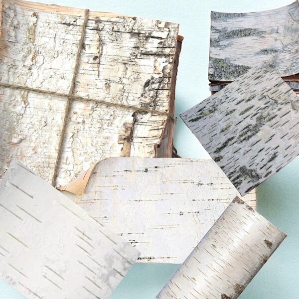 Birch Bark Sheets - Etsy