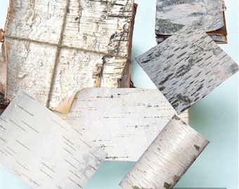 White Birch Bark Sheets, choose your size- free shipping