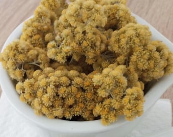 Organic Helichrysum Italicum Flowers: Immortelle 50 gr