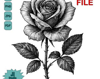 Handgetekende roosillustratie | Vintage bloemenclipart voor lasergravure, tatoeages, huwelijksuitnodigingen, knutselwerk en muurkunst