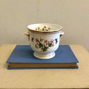 May include: A white ceramic planter with two side handles and a gold-trimmed rim and base. The exterior features a botanical illustration of pink flowers, green leaves, and a blue butterfly. The interior also displays a small floral pattern.