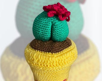 Schema all'uncinetto per cactus Booty / Cactus amigurumi / PDF Inglese