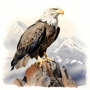 Eagle Watercolor Clipart Bundle, Cute Colorful Eagle Set, Nursery Decor Eagle Bird Drawings, Baby Shower, Eagle Wall Art, Commercial Use