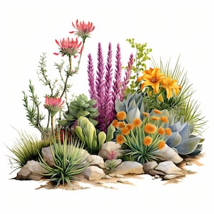 Pacote de clipart de plantas nativas da Califórnia, clipart de esboço colorido floral, conjunto de plantas nativas da Califórnia, flores pouco cuidadas, designs de paisagem