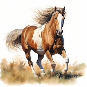 Galoppierendes Pferd Portrait Aquarell Clipart Bundle, Pferd in der Natur Illustration Set, Aquarell Pferdeportrait, digitaler Download