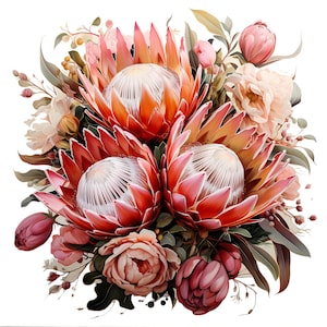 Re Protea Bouquet da sposa Clipart ad acquerello, Set Bouquet da sposa floreale, Set Bouquet da sposa fiore Re Protea, Bouquet da sposa Re Protea