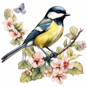 Koolmees aquarel clipart bundel, kleurrijke koolmees set, decor van de kwekerij koolmees vogeltekeningen, babyshower, koolmees vogel muur decor
