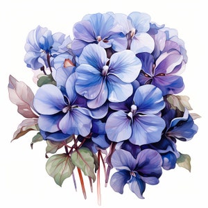 Pacote de clipart em aquarela de buquê de flores violetas, conjunto de flores violetas roxas florais em aquarela, flores roxas, licença comercial