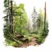 Bialowieza forest Fine Art print A3 / A2 main image 0