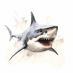 Weißer Hai Porträt Aquarell Clipart Bundle, lustiger Hai Porträt Clipart, Sublimationsdesign, Aquarell Hai Porträt-Digitaler Download