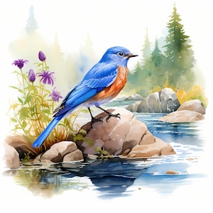 Bundle de cliparts aquarelle merle bleu, mignon ensemble merle bleu coloré, décoration de chambre d'enfant dessins oiseau bleu, baby shower, art mural oiseau bleu, publicité