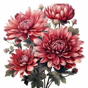 Chrysanthemum Bouquet Watercolor Clipart Bundle, Watercolor Floral Clipart, Chrysanthemum Flowers Set, Digital Planner, Junk Journaling
