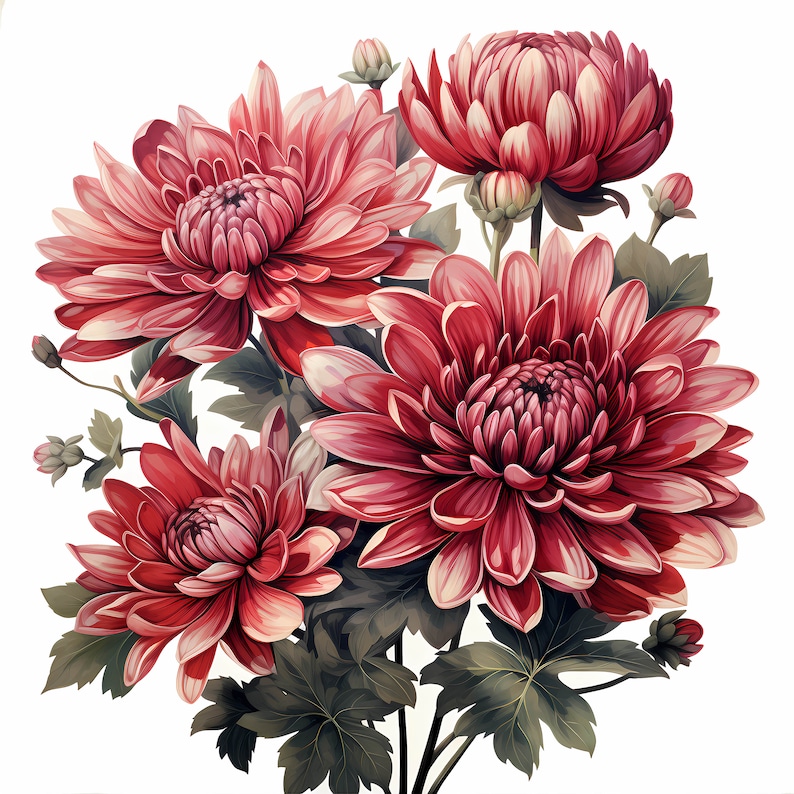 Chrysanthemum Bouquet Watercolor Clipart Bundle, Watercolor Floral Clipart, Chrysanthemum Flowers Set, Digital Planner, Junk Journaling