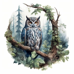 Uil aquarel clipart bundel, schattige kleurrijke uil set, kinderkamer decor uil tekeningen, kaart & dagboek maken, uil wand decor, commercieel gebruik