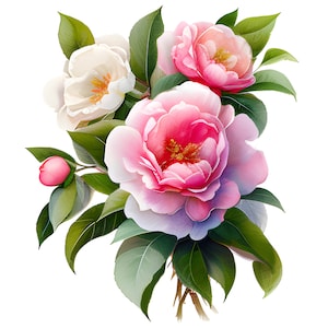 Pink Camellia Watercolor Clipart, Watercolor Floral Clipart, Pink Camellia Clipart, Pink Flowers, Pink Camellia Bouquet, Pink Flower Clipart