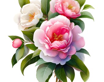 Pink Camellia Watercolor Clipart, Watercolor Floral Clipart, Pink Camellia Clipart, Pink Flowers, Pink Camellia Bouquet, Pink Flower Clipart
