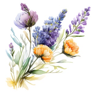 Clipart acquerello lavanda, clipart floreale acquerello, clipart lavanda, fiori viola, mazzi di lavanda, cornice di lavanda, clipart fiori