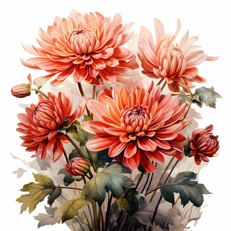Chrysanthemum Bouquet Watercolor Clipart Bundle, Watercolor Floral Clipart, Chrysanthemum Flowers Set, Digital Planner, Junk Journaling