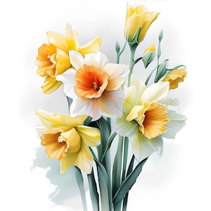 May include: A bouquet of yellow and white daffodils with green stems and leaves. The flowers are arranged in a vase and are in full bloom.