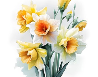 Daffodil Watercolor Clipart, Watercolor Floral Clipart, Daffodil Clipart, Spring Flowers, Daffodil Bouquets, Daffodil Frame, Flowers Clipart