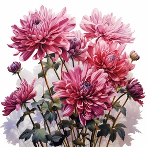 Chrysanthemum Bouquet Watercolor Clipart Bundle, Watercolor Floral Clipart, Chrysanthemum Flowers Set, Digital Planner, Junk Journaling