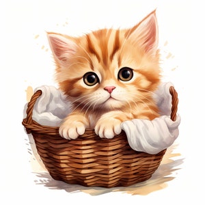 Cute Kitten Watercolor Clipart, Funny Cat Clipart, Sublimation Design Clipart, Cute Kitten in a Basket Clipart, Baby Shower, Commercial Use
