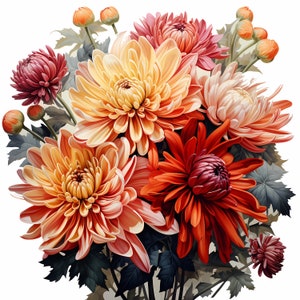 Chrysanthemum Bouquet Watercolor Clipart Bundle, Watercolor Floral Clipart, Chrysanthemum Flowers Set, Digital Planner, Junk Journaling