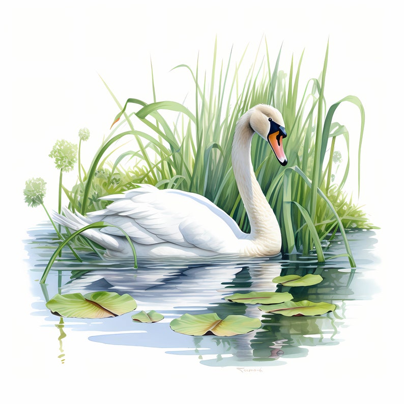 Swan Watercolor Clipart Bundle, Cute Colorful Swan Set, Nursery Decor ...