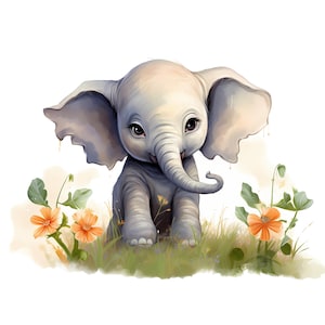 Lindo bebé elefante acuarela clipart, bebé niño elefante ilustración PNG conjunto, lindo bebé animal conjunto, libro de chatarra, baby shower, decoración de la guardería