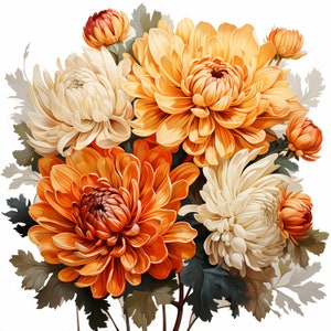 Chrysanthemum Bouquet Watercolor Clipart Bundle, Watercolor Floral Clipart, Chrysanthemum Flowers Set, Digital Planner, Junk Journaling