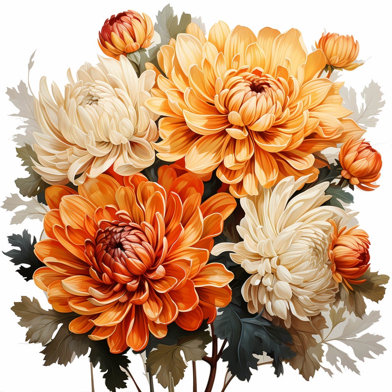 Chrysanthemum Bouquet Watercolor Clipart Bundle, Watercolor Floral Clipart, Chrysanthemum Flowers Set, Digital Planner, Junk Journaling