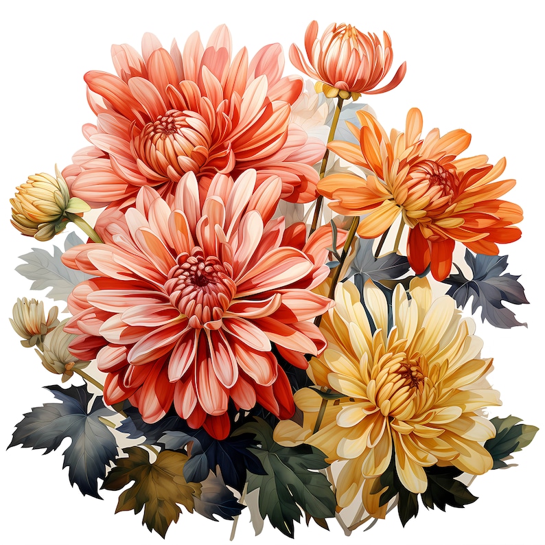 Chrysanthemum Bouquet Watercolor Clipart Bundle, Watercolor Floral Clipart, Chrysanthemum Flowers Set, Digital Planner, Junk Journaling