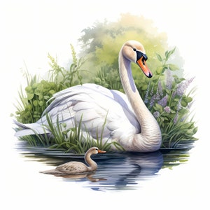 Swan Watercolor Clipart Bundle, Cute Colorful Swan Set, Nursery Decor ...
