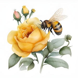 Imágenes prediseñadas de acuarela de rosa amarilla y abeja de miel, imágenes prediseñadas florales de acuarela, imágenes prediseñadas de abejorro y rosa amarilla, flores amarillas, uso comercial