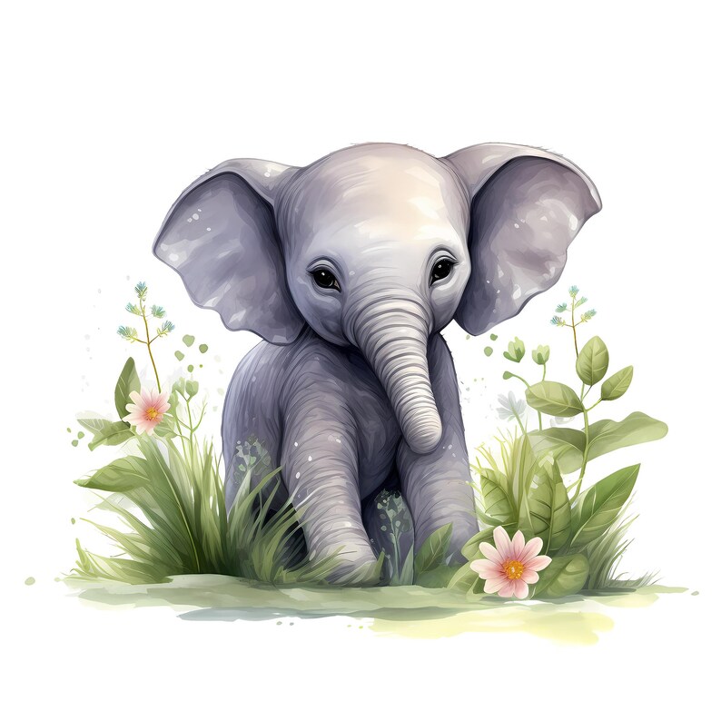 Cute Baby Elephant Watercolor Clipart, Baby Boy Elephant Illustration ...