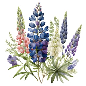 Imágenes prediseñadas de lupino de acuarela, flores de bluebonnet, imágenes prediseñadas florales, imágenes prediseñadas florales azules, flores azules, ramo azul, fabricación de tarjetas, uso comercial