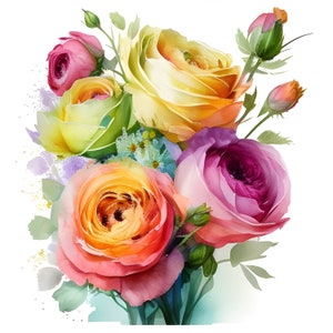 Julieta rosa acuarela clipart, paquete floral de acuarela, flores de rosa rosa julieta, ramo de rosas julieta, conjunto de flores rosas, uso comercial