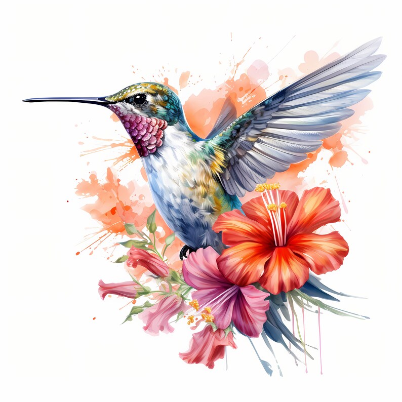 Hummingbird Watercolor Clipart Bundle, Cute Colorful Hummingbird Set