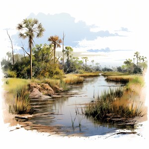Pacote de arte de esboço em aquarela do Parque Nacional de Everglades, conjunto de arte de esboço para impressão do Parque Nacional de Everglades, papel digital, arte de parede da natureza