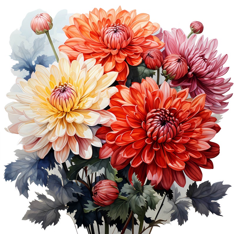 Chrysanthemum Bouquet Watercolor Clipart Bundle, Watercolor Floral Clipart, Chrysanthemum Flowers Set, Digital Planner, Junk Journaling