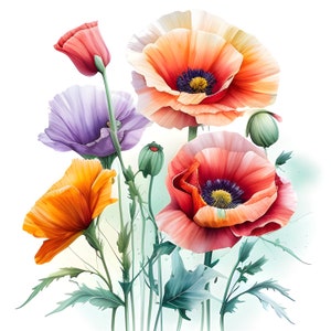 Clipart coquelicot aquarelle, ensemble floral aquarelle, clipart coquelicot, fleurs orange, bouquet de coquelicots, clipart fleurs, fabrication de cartes, usage Commercial