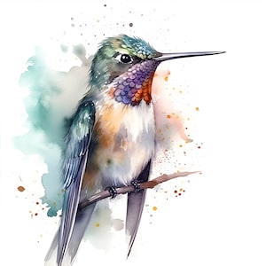 Acuarela colibrí clipart, lindo pájaro colorido en la naturaleza, vivero decoración colibrí, conjunto de baby shower, papel digital, uso comercial