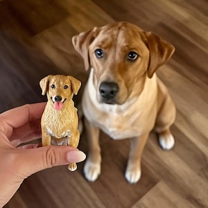 Custom Pet Dog Wedding Cake Toppers, Dog Birthday Doll Gift, Dog Wedding Gifts, Cat Birthday Cake Topper, Pet Clay Keepsake, Dog Cake Topper