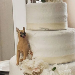 Personalized custom pets dog, pets birthday, pets topper, caketopper, Pet partypet clay sculpture, wedding caketopper