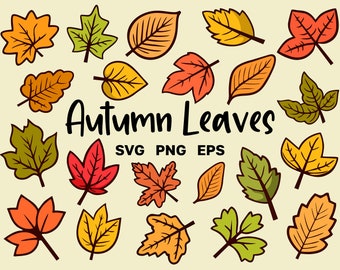 Autumn Leaves SVG Clipart - Fall Leaves SVG PNG Bundle - Leafs Vector Files - File Cricut Cut - Uso commerciale - Download istantaneo
