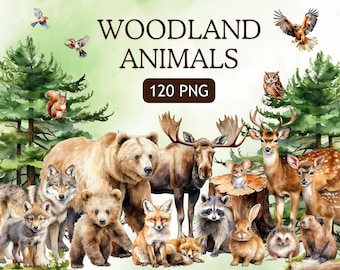 Woodland PNG Clipart - 120 Transparent Woodland Animals Huge PNG Bundle - Woodland Clipart - High Quality PNGs - Commercial Use