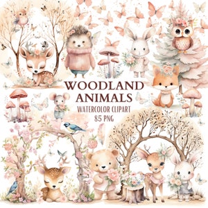 May include: Watercolour clipart featuring woodland animals, including a deer, fox, hedgehog, owl, bear, rabbit, and mouse. The animals are surrounded by flowers, mushrooms, butterflies, and trees. The text "Woodland Animals Watercolor Clipart 85 PNG" is displayed at the top of the image.