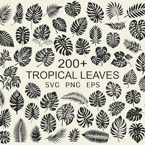 May include: A collection of over 200 black silhouette tropical leaves in various shapes and sizes. The leaves are arranged in a circular pattern with the text "200+ Tropical Leaves SVG PNG EPS" in the center.
