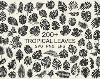 210 Monstera SVG Bundle - Tropical Leaf Vector Clipart - Tropical Leaf Silhouette - Hand Drawn Leaves PNG & SVG - Commercial Use - Cut Files